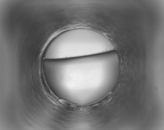 X0000058760056200510171210