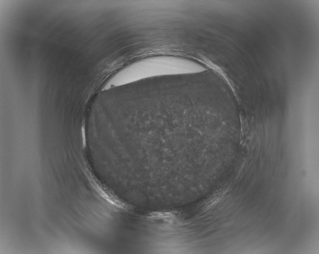 X0000058760061200510171210