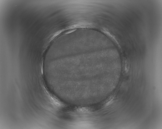 X0000058760062200510171210