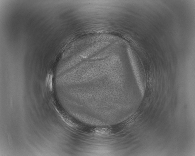 X0000058760070200510171210