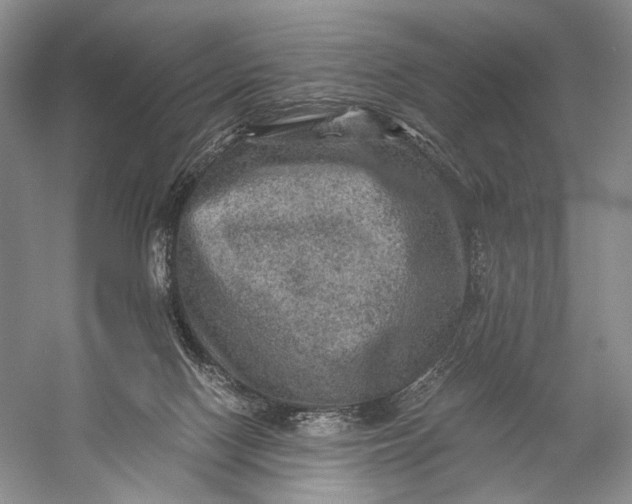 X0000058760074200510171210