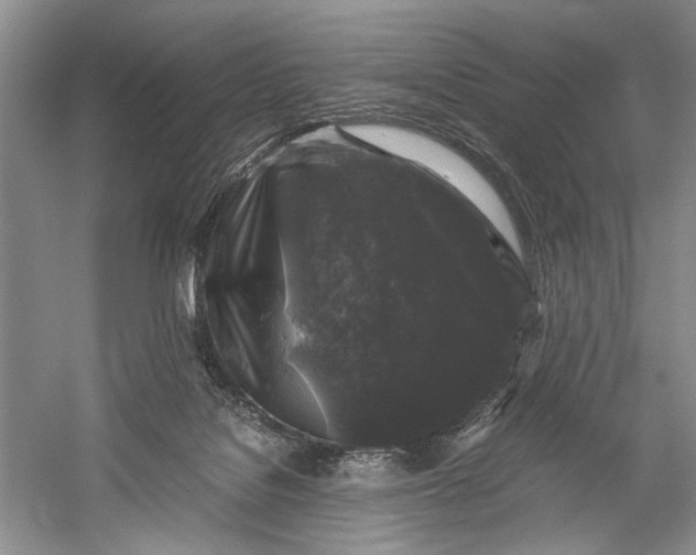 X0000058760076200510171210