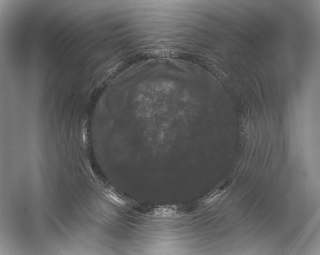X0000058760080200510171210