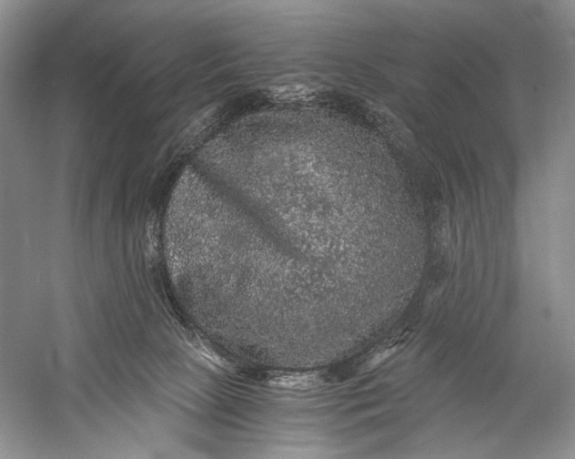 X0000058760081200510171210