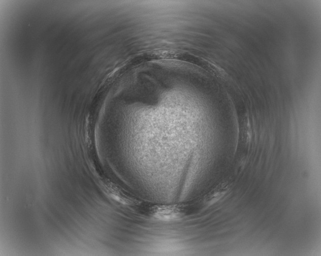 X0000058760088200510171211