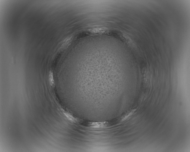 X0000058760089200510171211