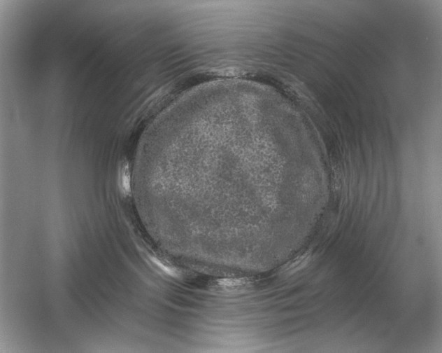 X0000058760095200510171211