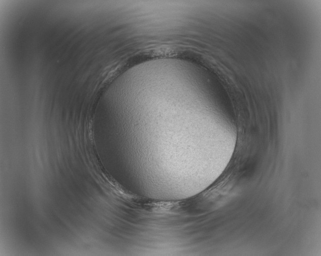 X0000058760096200510171211