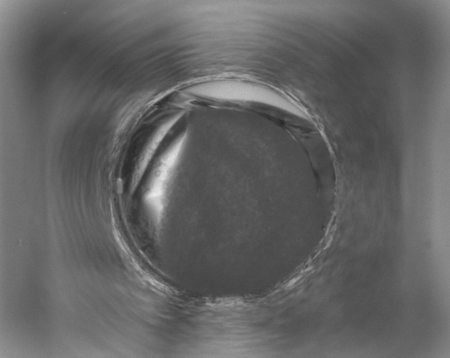 X0000058760097200510171210