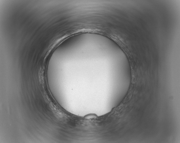 X0000058760098200510171210
