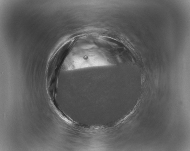 X0000058760101200510171210
