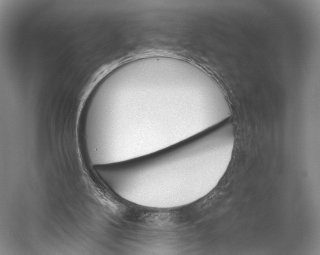 X0000058760104200510171210