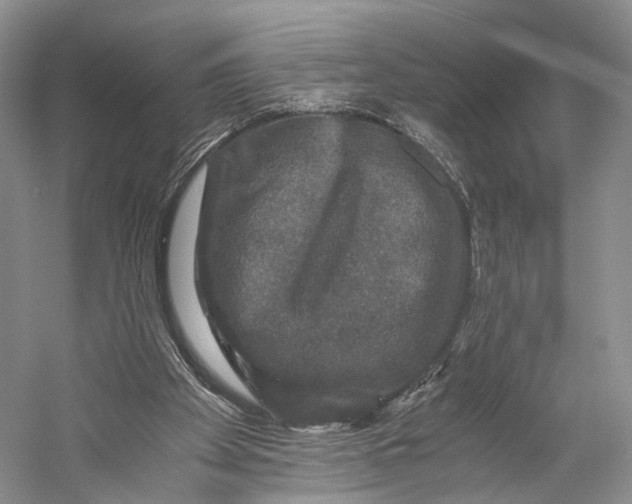 X0000058760105200510171210