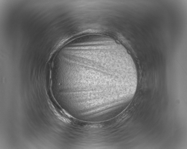 X0000058760106200510171210