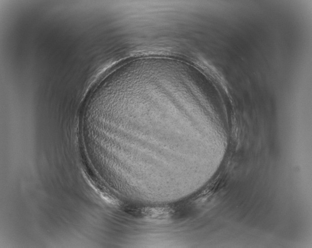 X0000058760107200510171210
