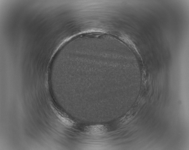 X0000058760108200510171210