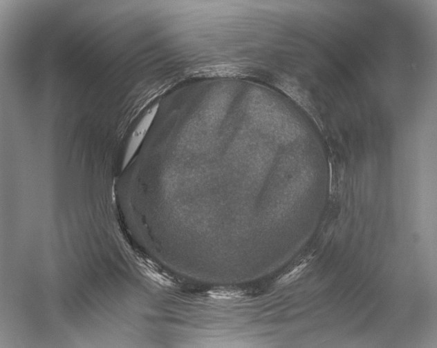 X0000058760109200510171210