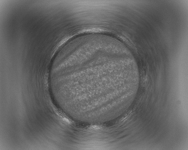 X0000058760111200510171210
