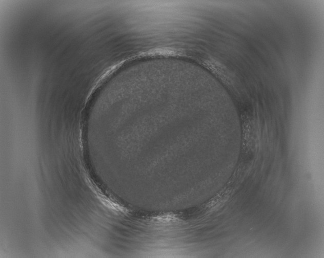 X0000058760112200510171210