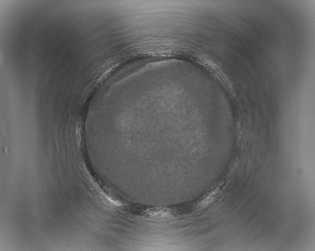 X0000058760113200510171210