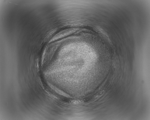 X0000058760115200510171209