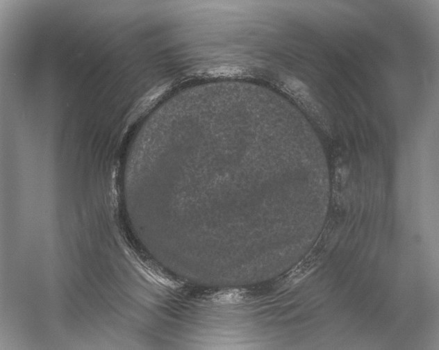 X0000058760116200510171209
