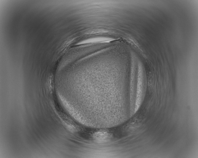X0000058760119200510171209
