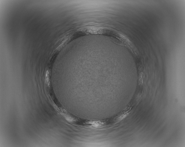 X0000058760121200510171209
