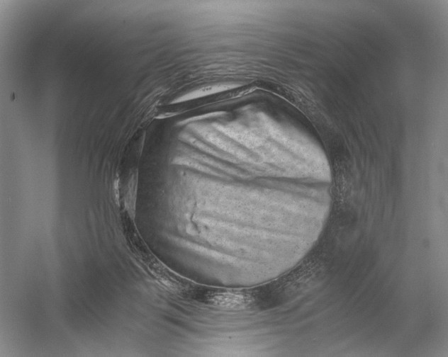 X0000058760123200510171209