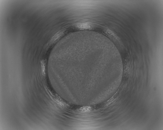 X0000058760124200510171209