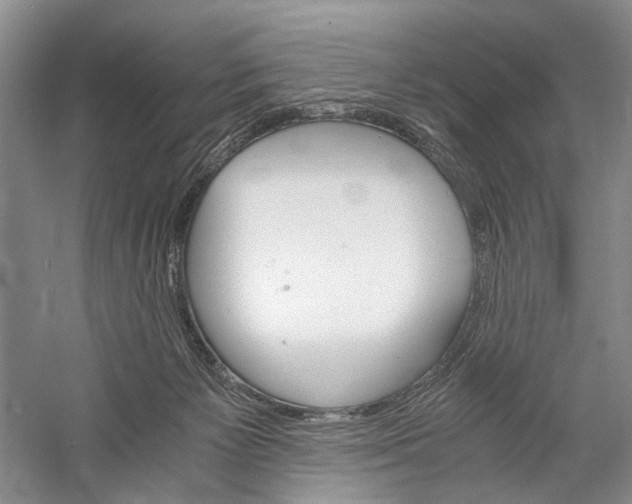 X0000058760125200510171209
