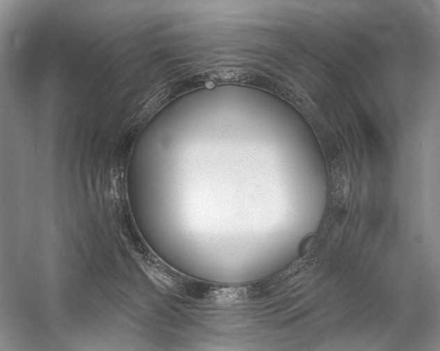 X0000058760126200510171209