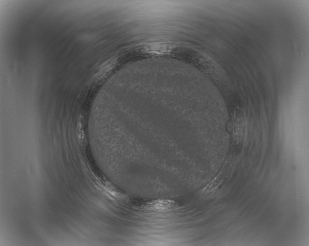 X0000058760128200510171209