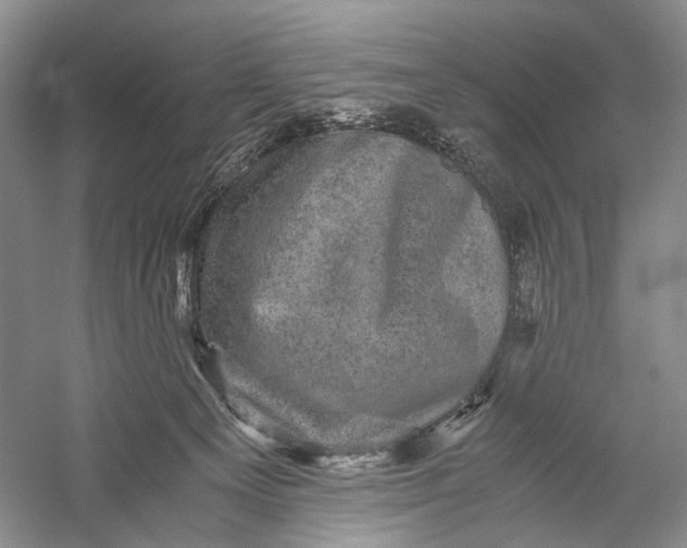 X0000058760129200510171209