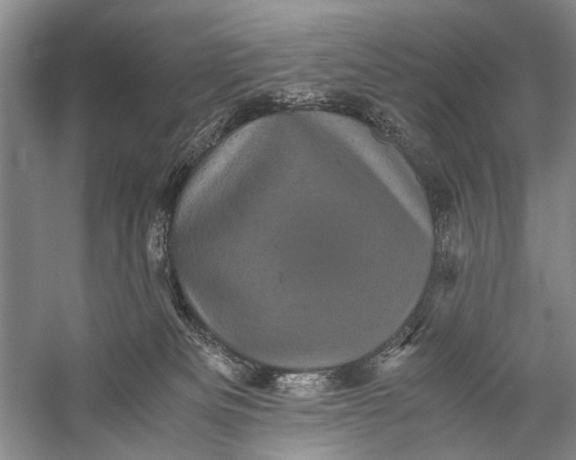 X0000058760133200510171209