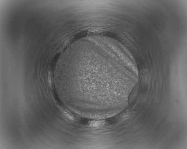 X0000058760135200510171209