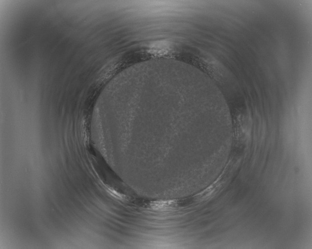 X0000058760136200510171209