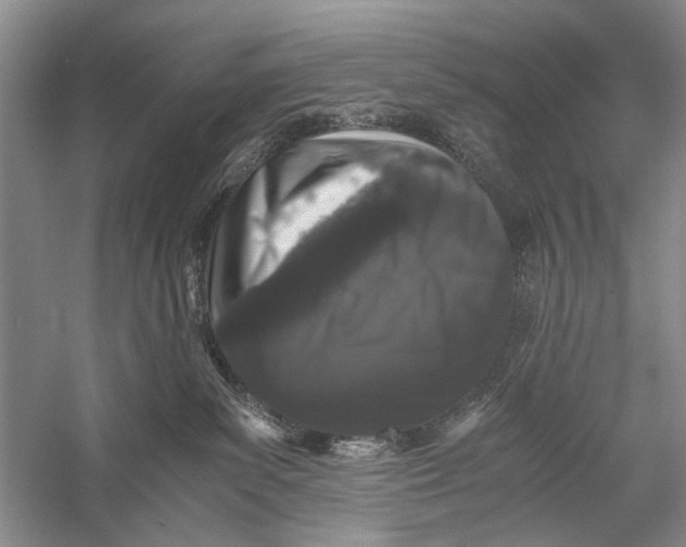 X0000058760139200510171209
