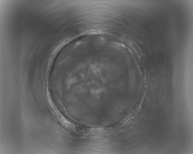 X0000058760145200510171208