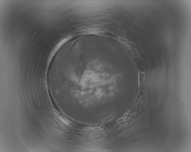 X0000058760147200510171208