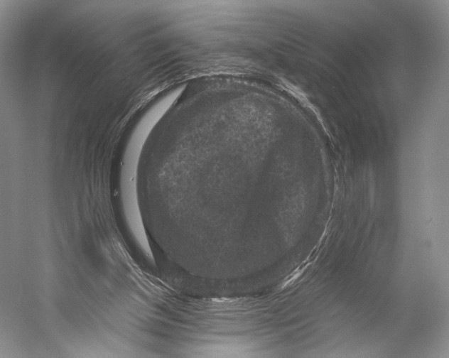 X0000058760154200510171208