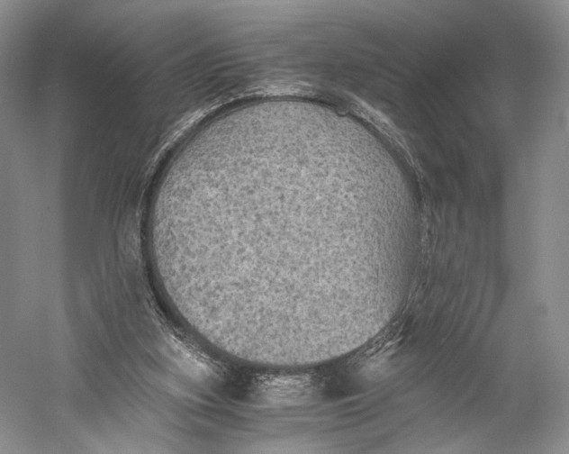 X0000058760155200510171208