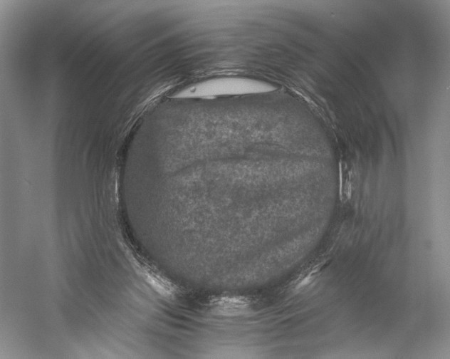 X0000058760157200510171208