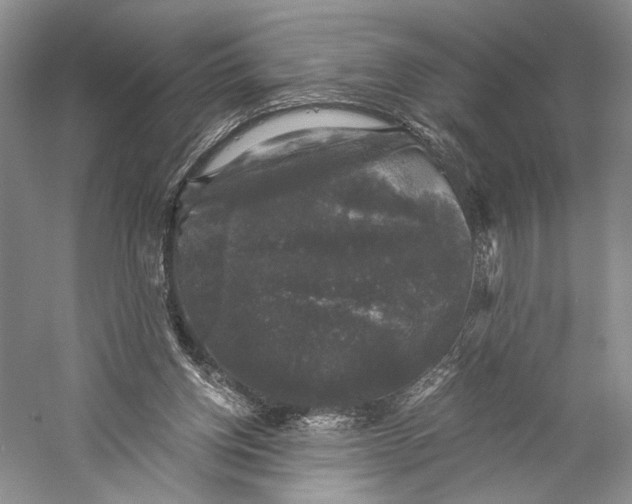 X0000058760158200510171208