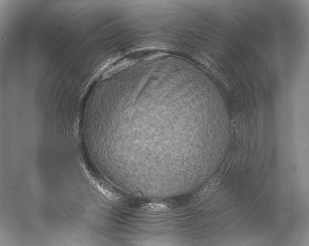 X0000058760159200510171208