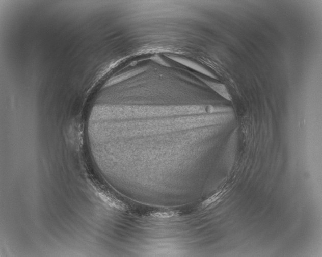 X0000058760160200510171208