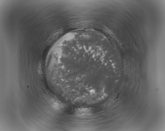 X0000058760161200510171208