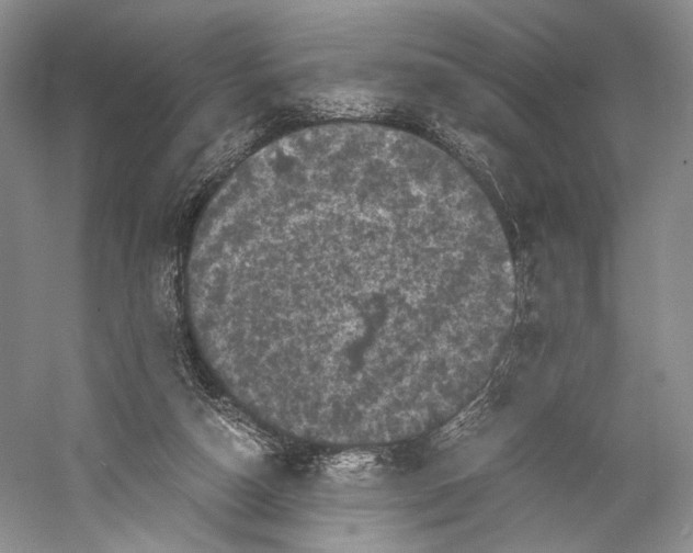 X0000058760162200510171208