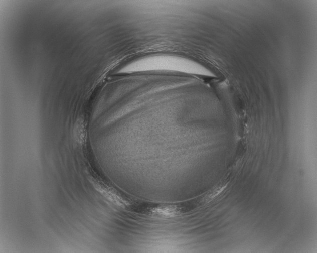 X0000058760164200510171208