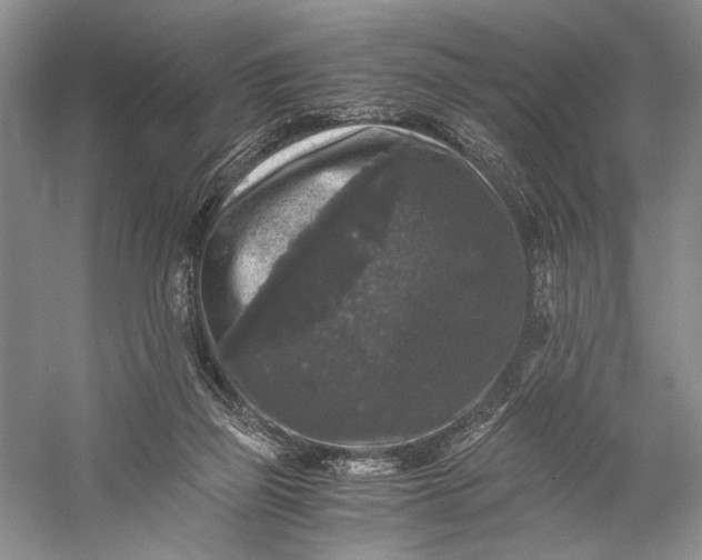 X0000058760165200510171208